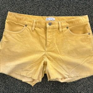 Carve Designs Dogtown 4" shorts